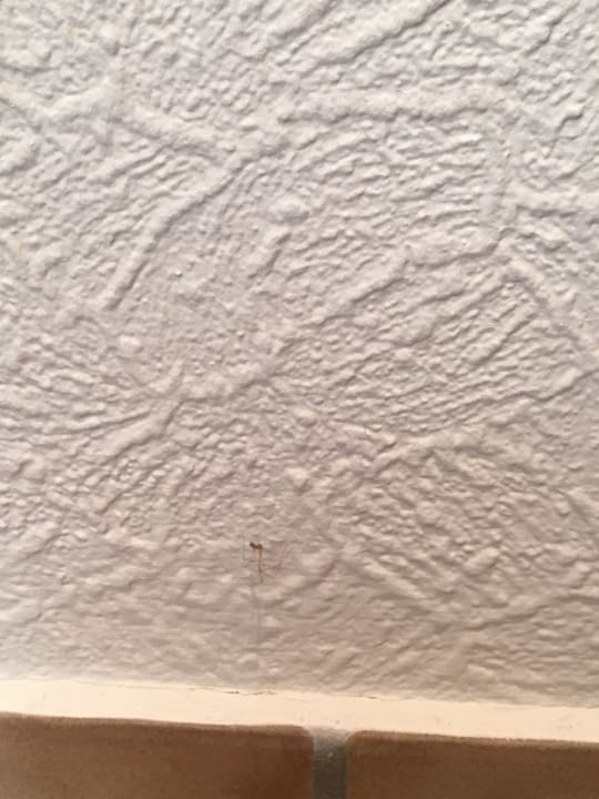 Zimmer Hotel Zur Hahnmühle