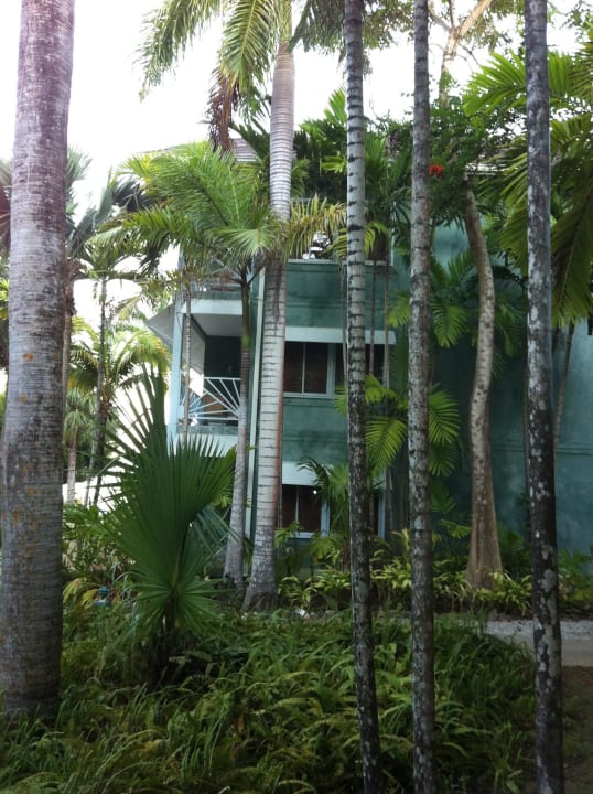 Wohnblock Couples Negril - Adults only