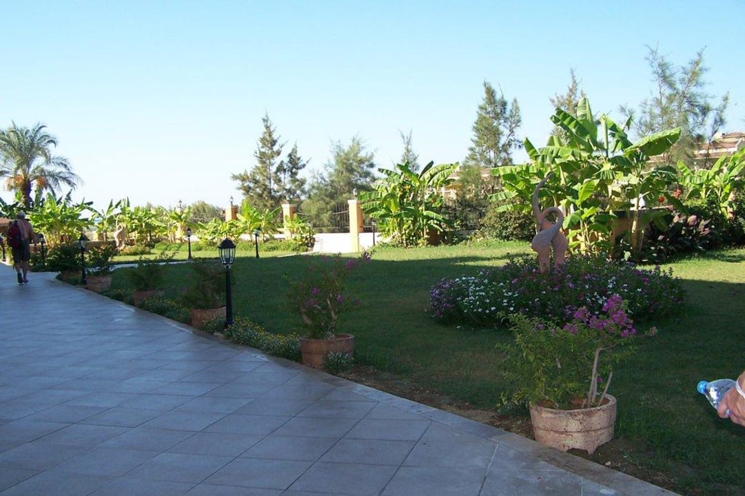 Wunderschön Crystal Paraiso Aqua Collection