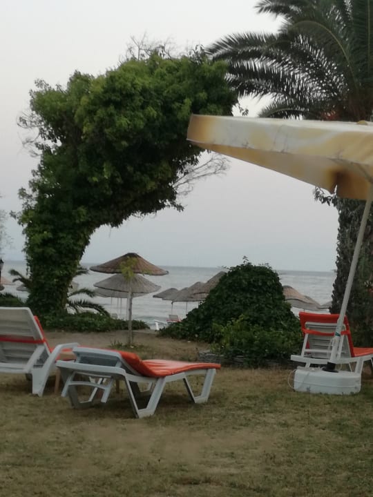 Restaurant Dogan Paradise Beach