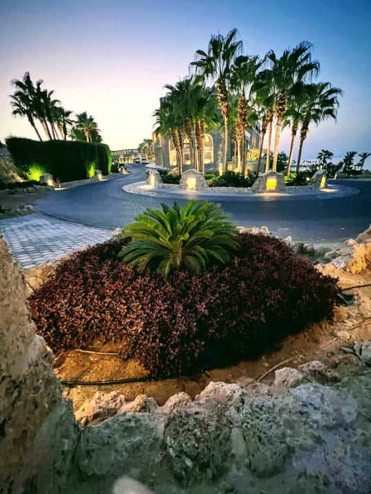 Sonstiges Pickalbatros Citadel Resort