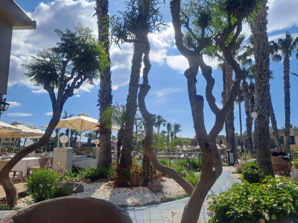 Gartenanlage Atrium Palace Thalasso Spa Resort & Villas