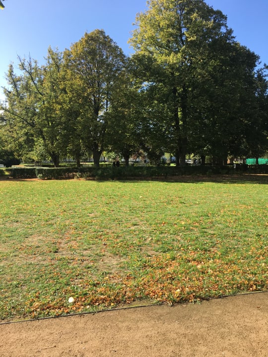 Gartenanlage Hotel Max am Meer Kühlungsborn