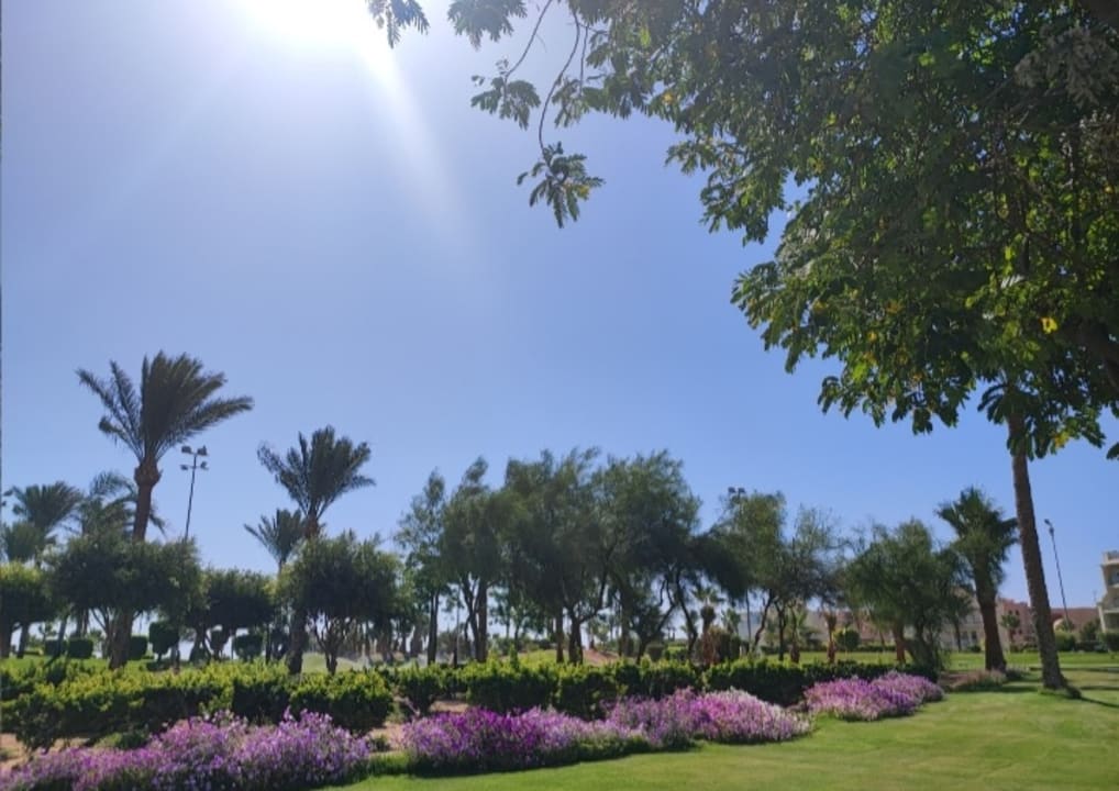 Gartenanlage Steigenberger Aqua Magic