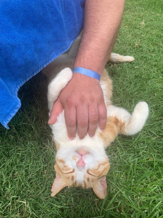 Gartenanlage Labranda Alantur Resort