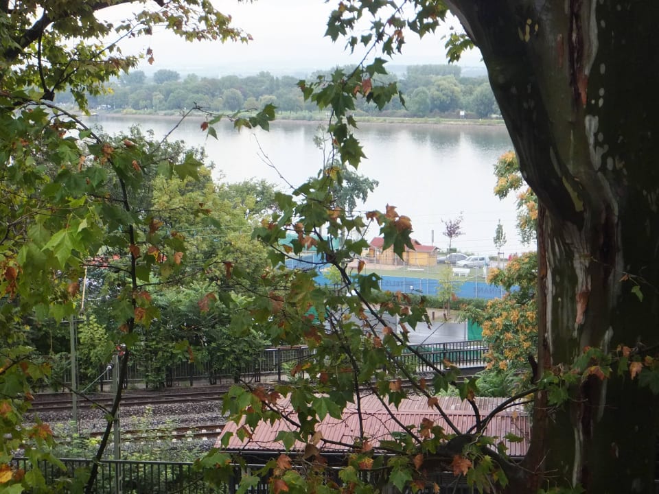 Ausblick vom Zimmer auf Rhein Favorite Parkhotel