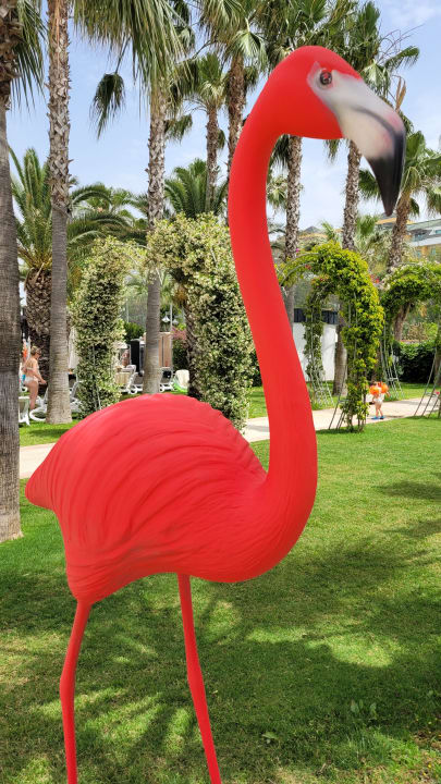 Gartenanlage Belek Beach Resort Hotel