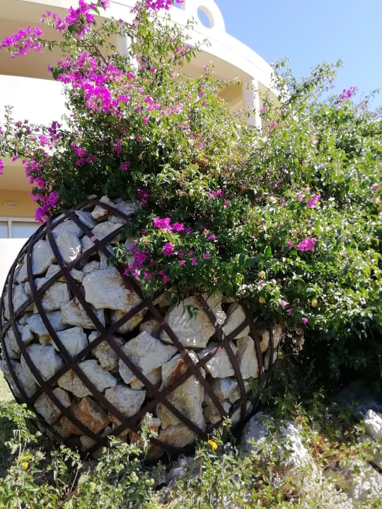 Außenansicht Hotel Kalithea Horizon Royal