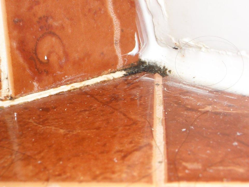 Schimmel an Whirlpoolbadewanne : geht gar nicht Helena Sands