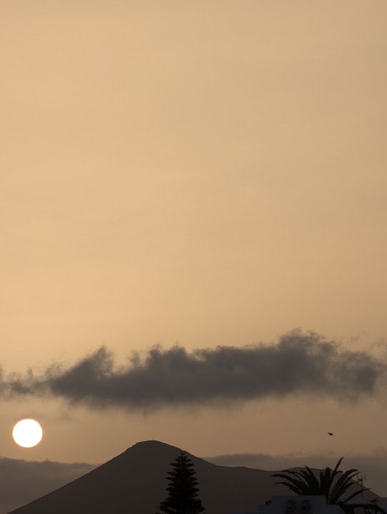 Ausblick allsun App.-Hotel Albatros