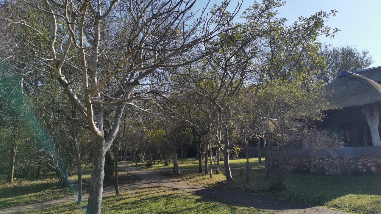 Gartenanlage Ndzuti Guest House