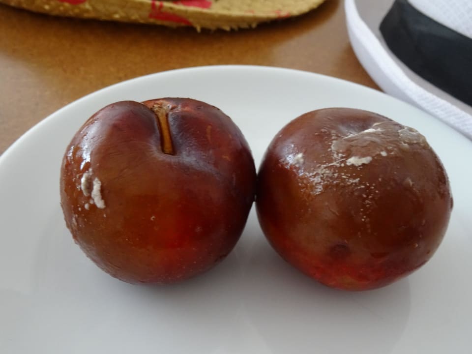 Zgnite owoce z pleśnią na deser Hotel Medisun