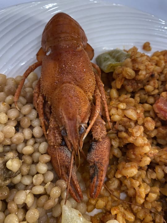 Gastro Granada Luxury Okurcalar