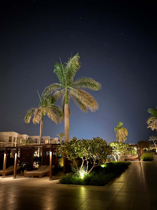 Pool Steigenberger Resort Ras Soma