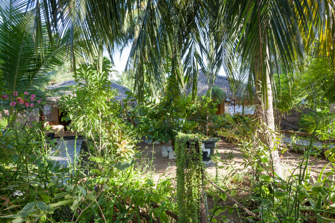 Gartenanlage De Silva Windresort Kalpitiya