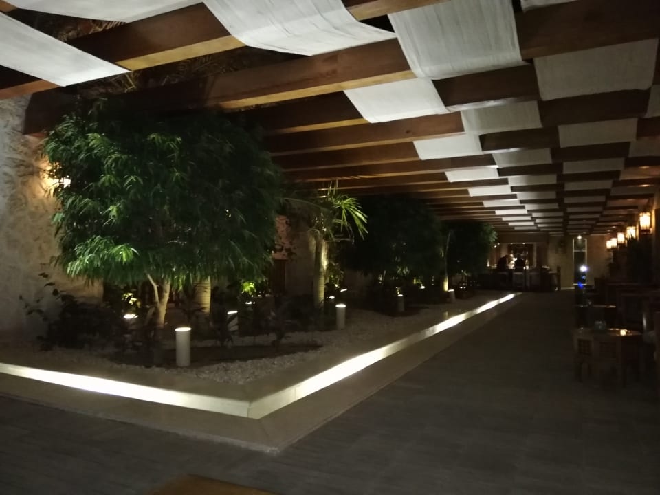 Gastro Makadi Spa - Adults only