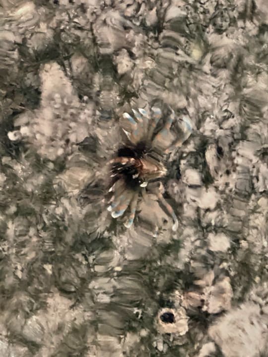 Strand Stella Beach Resort & Spa Makadi Bay