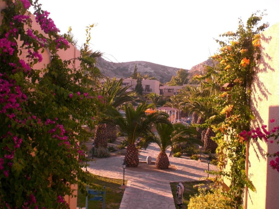 Ausblick aus unserem Wohnhaus Porto Bello Beach