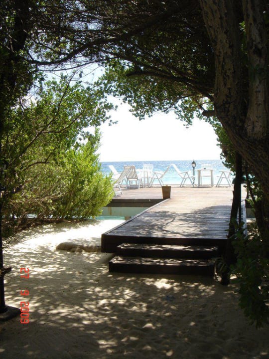 Terrasse der Bar Embudu Village