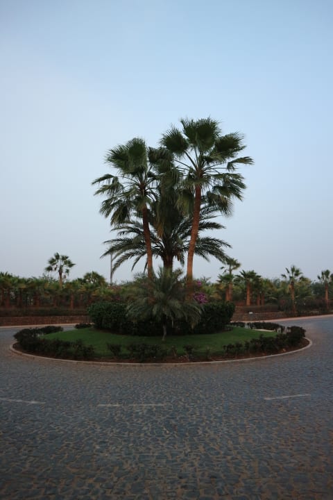 Gartenanlage Hotel Riu Touareg