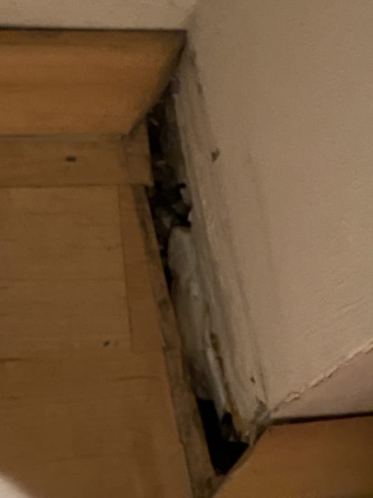 Zimmer Hotel Zum Schiff