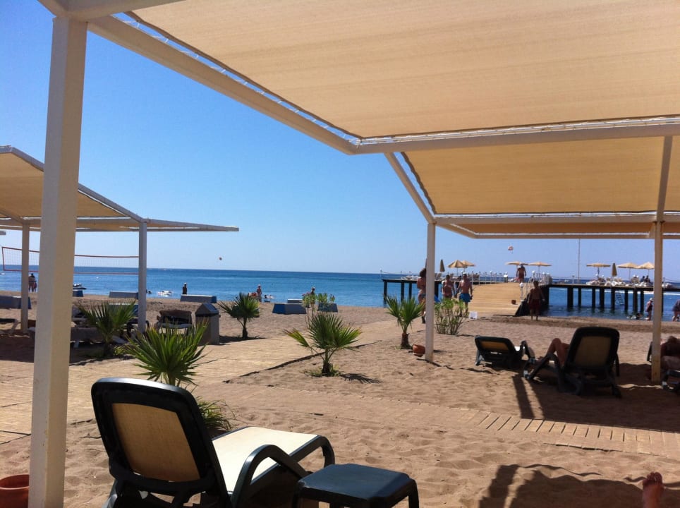 Sehr viele freien Liegen Royal Wings Hotel