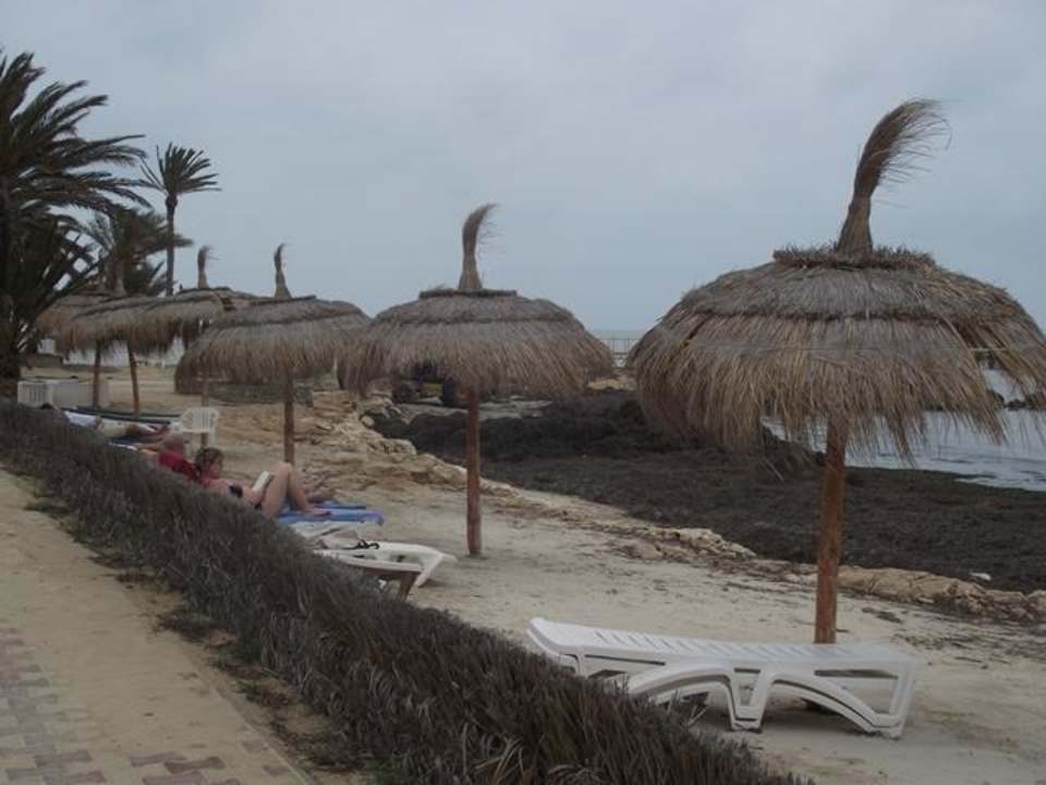 Schöne Aussicht Hotel El Mouradi Djerba Menzel