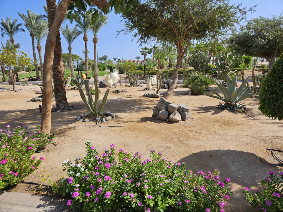 Gartenanlage Steigenberger ALDAU Beach Hotel