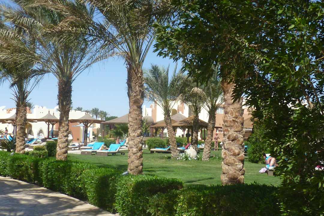 Blick in den VIP-Bereich SUNRISE Royal Makadi Resort