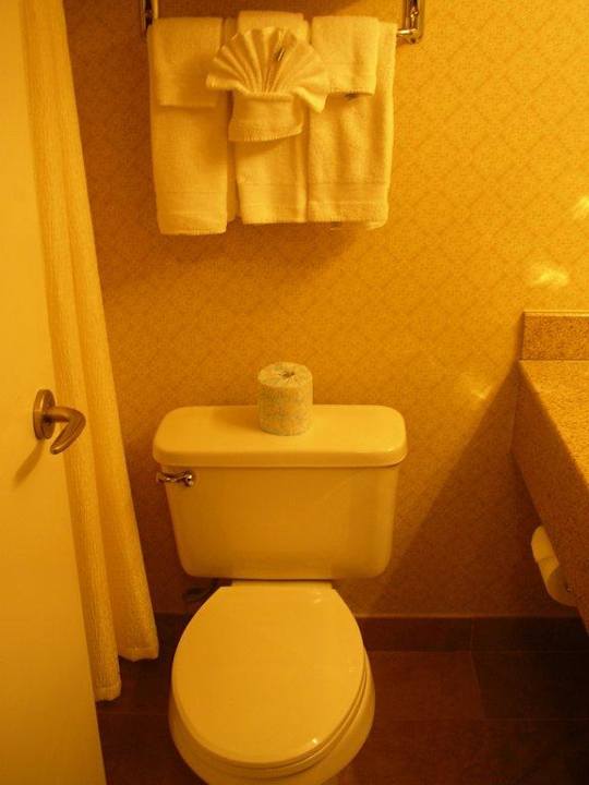 Toilette Hotel Omni Charlottesville