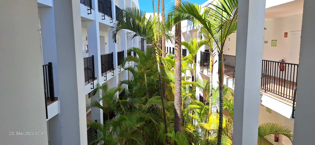 Gartenanlage Hotel Riu Gran Canaria