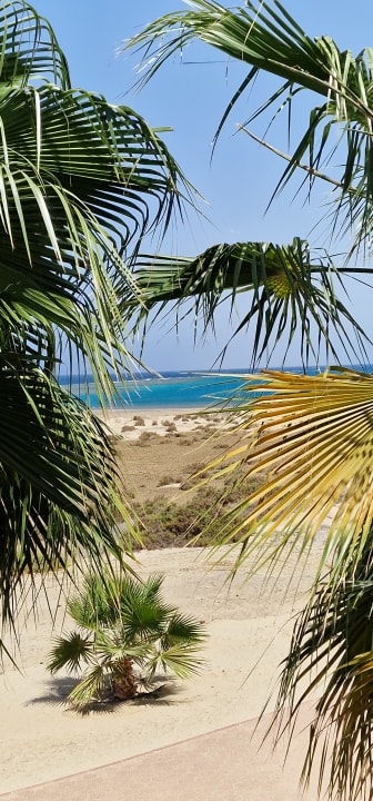 Ausblick Lahami Bay Beach Resort