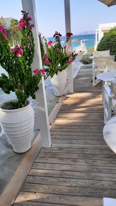 Gartenanlage Knossos Beach Bungalows Suites Resort & Spa