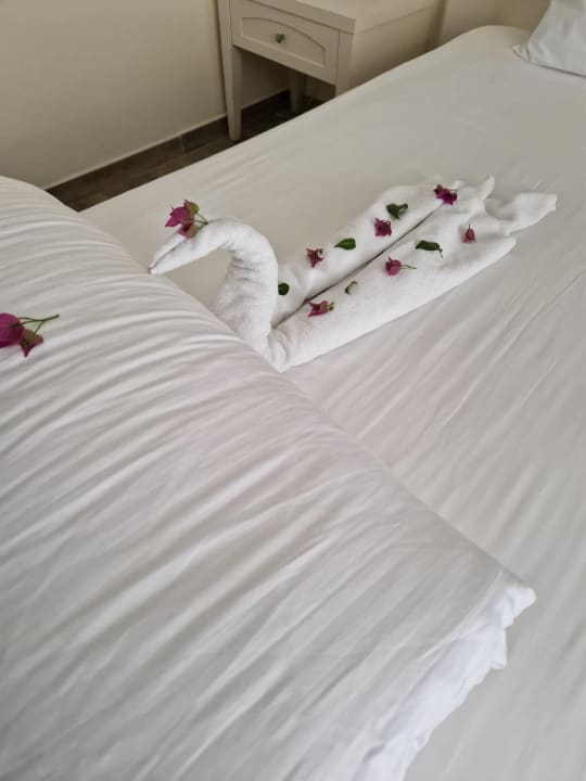 Zimmer Asteria Family Resort Side