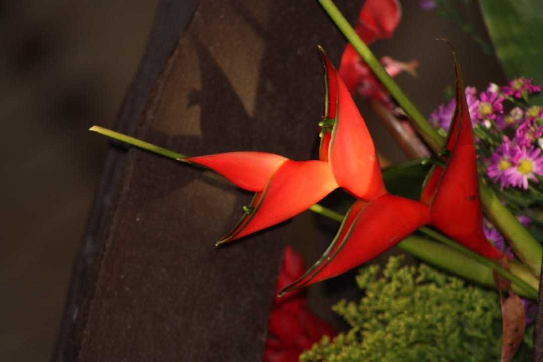 Blume Punta Cana Princess All Suites Resort & Spa