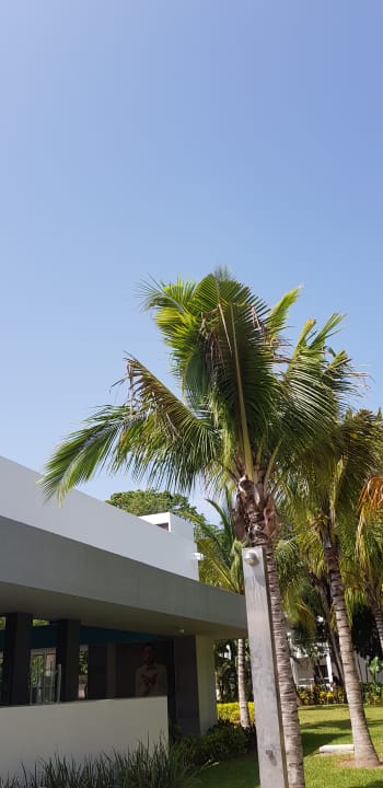 Gartenanlage Hotel Riu Tequila