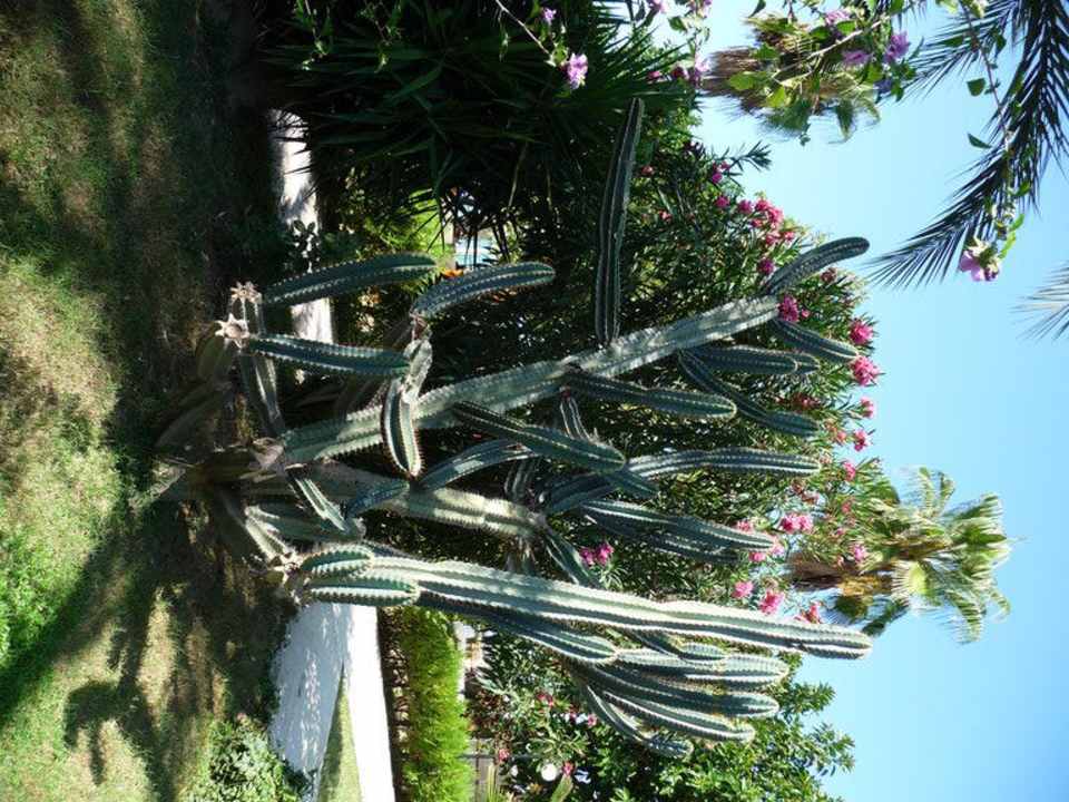 Gartenanlage Hotel Sirma