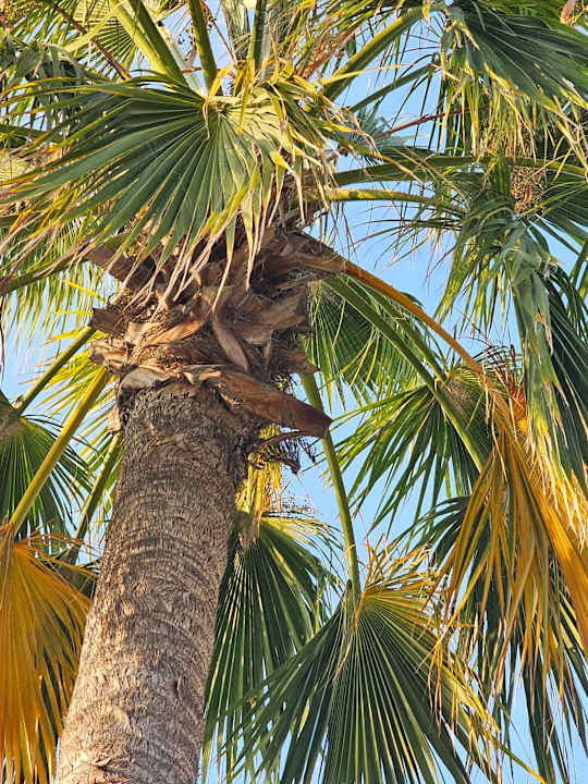 Ausblick Siam Elegance Hotels & Spa