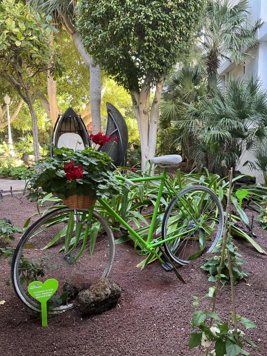Gartenanlage Hotel Parque Tropical