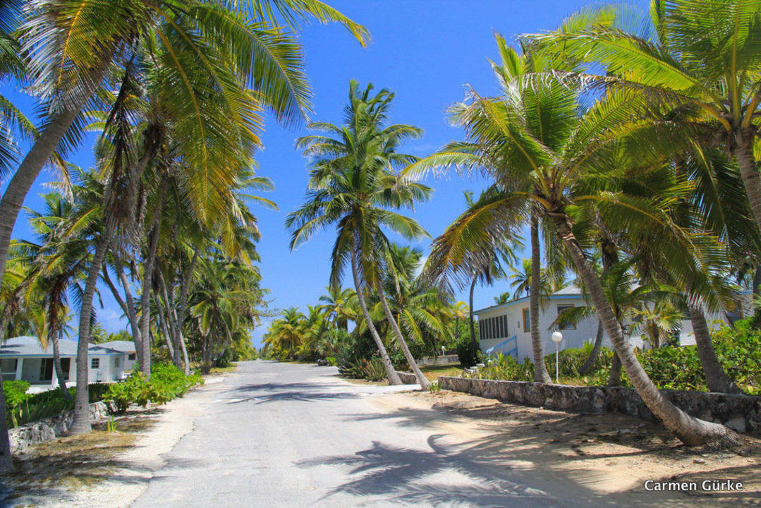 Die Wege zum Bungalow - Palmenhaine Hotel Stella Maris Resort