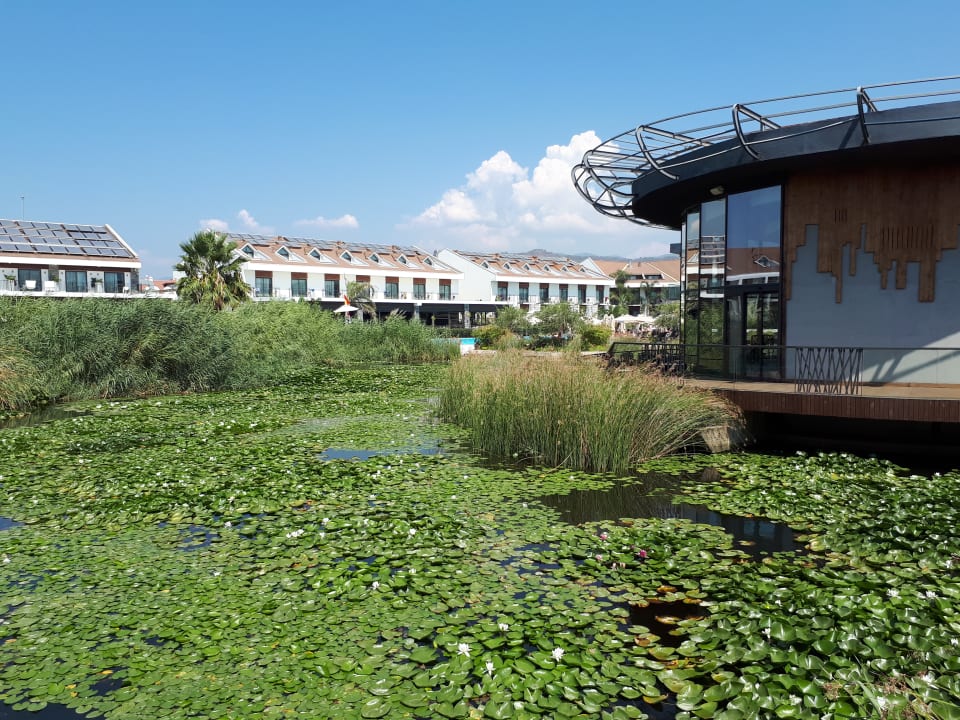 Garten Jiva Beach Resort