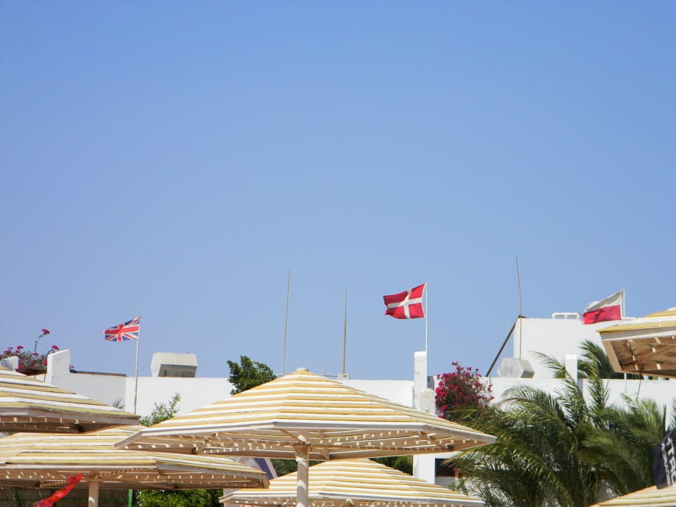 Флаги всех государств Menaville Safaga