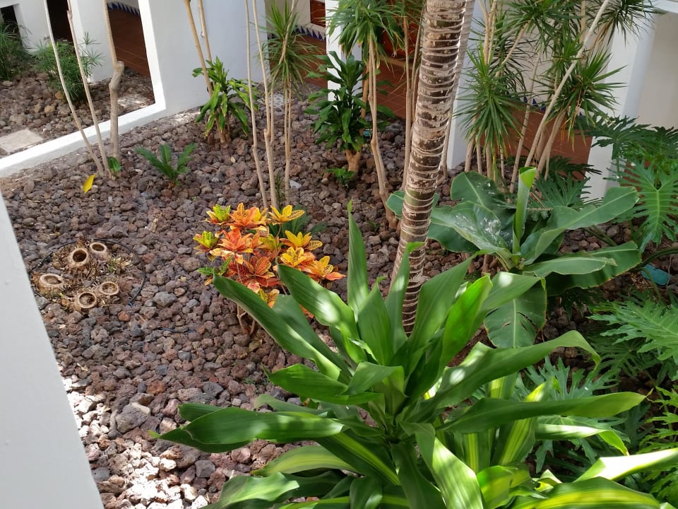 Der Hotelinnenhof Parque Santiago IV Official