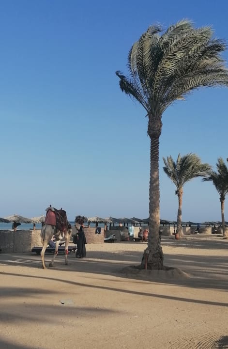 Strand Casa Mare Resort