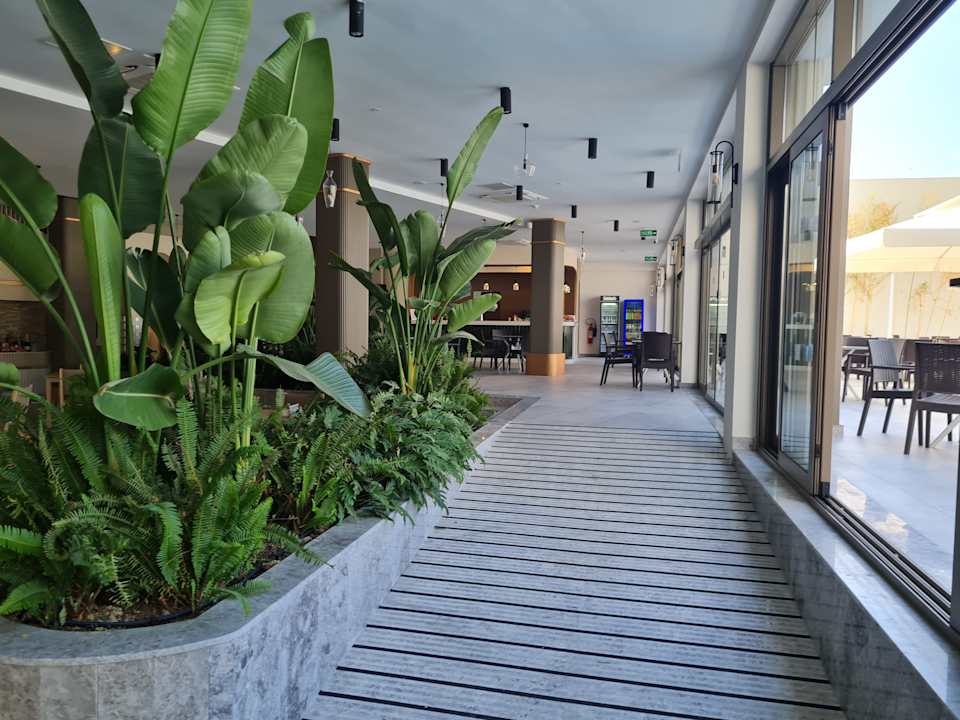 Gastro Seashell Vega