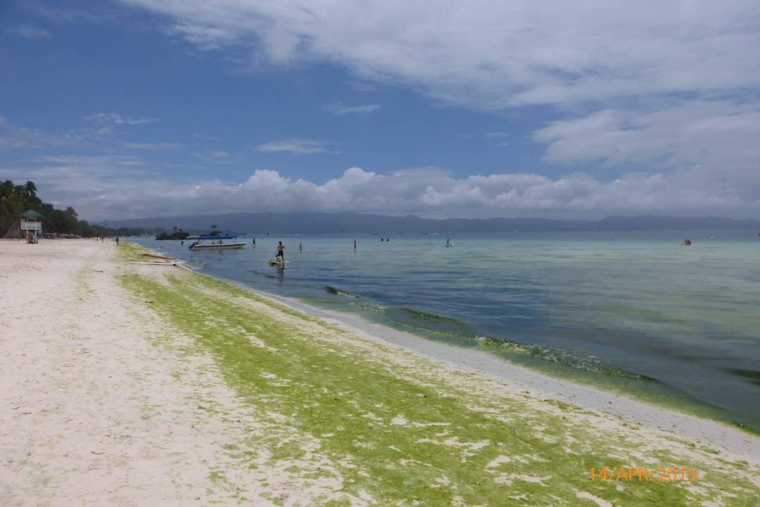 Grünalgen am White Beach Hotel Two Season