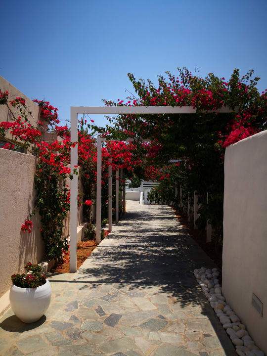 Gartenanlage Knossos Beach Bungalows Suites Resort & Spa
