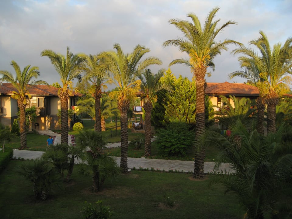 Blick vom Balkon TUI BLUE Palm Garden