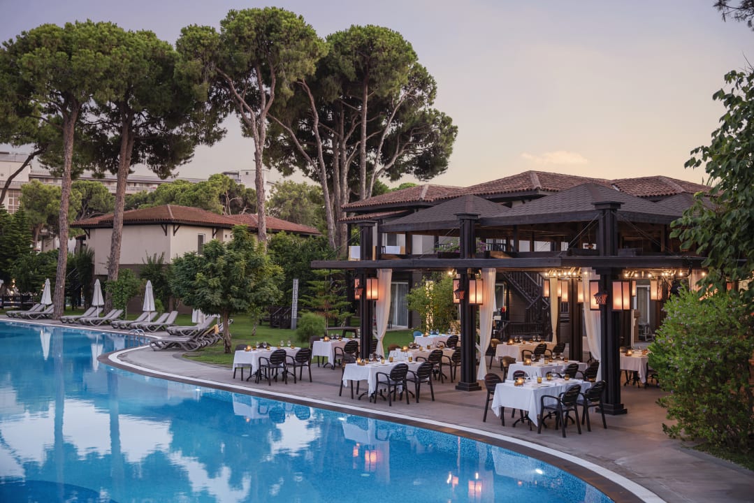 Gastro Papillon Ayscha