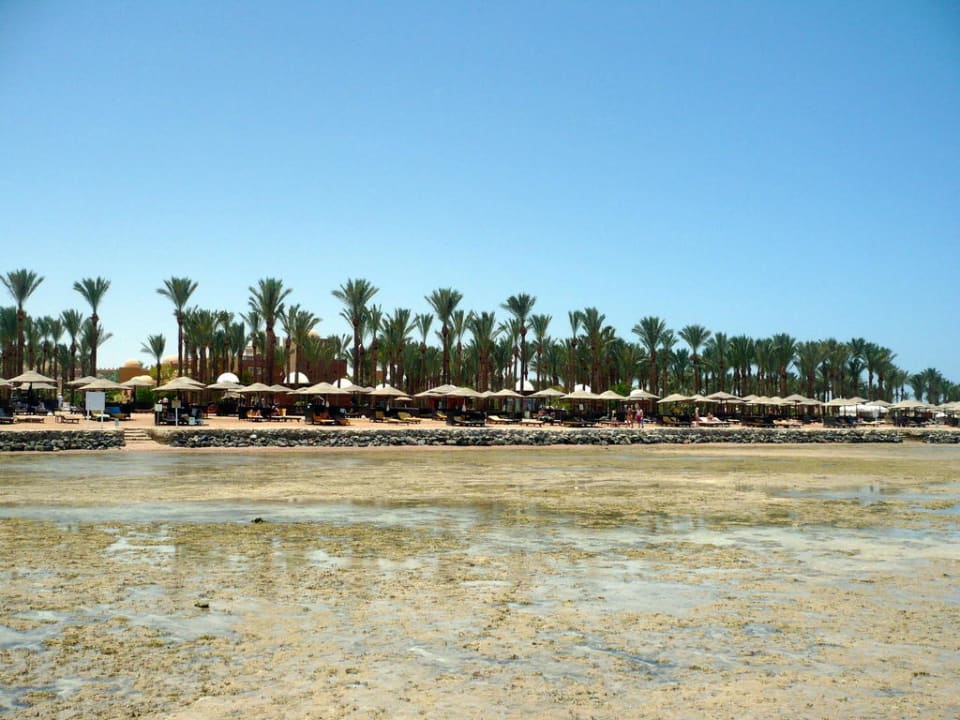 Strand bei Ebbe Makadi Palace